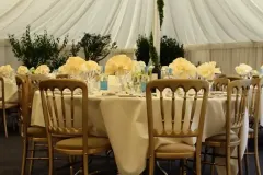 dp-wedding15